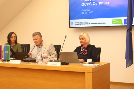 17. redna seja OS 01 Foto Ljubo Vukelič